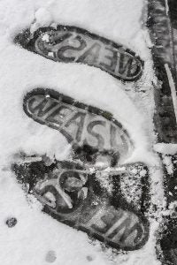 2018-02.28 NEVADA EN GETXO. FOTO: © TXETXU BERRUEZO ZÁRATE